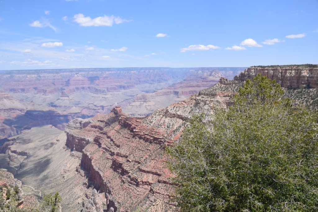 DSC_0144Mittel_.JPG